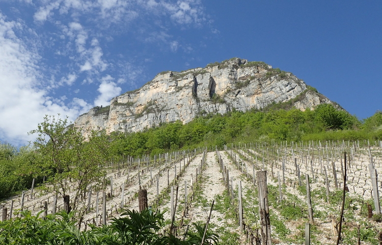 guides-bugey Multipitch: Roche de Narse Rockclimbing